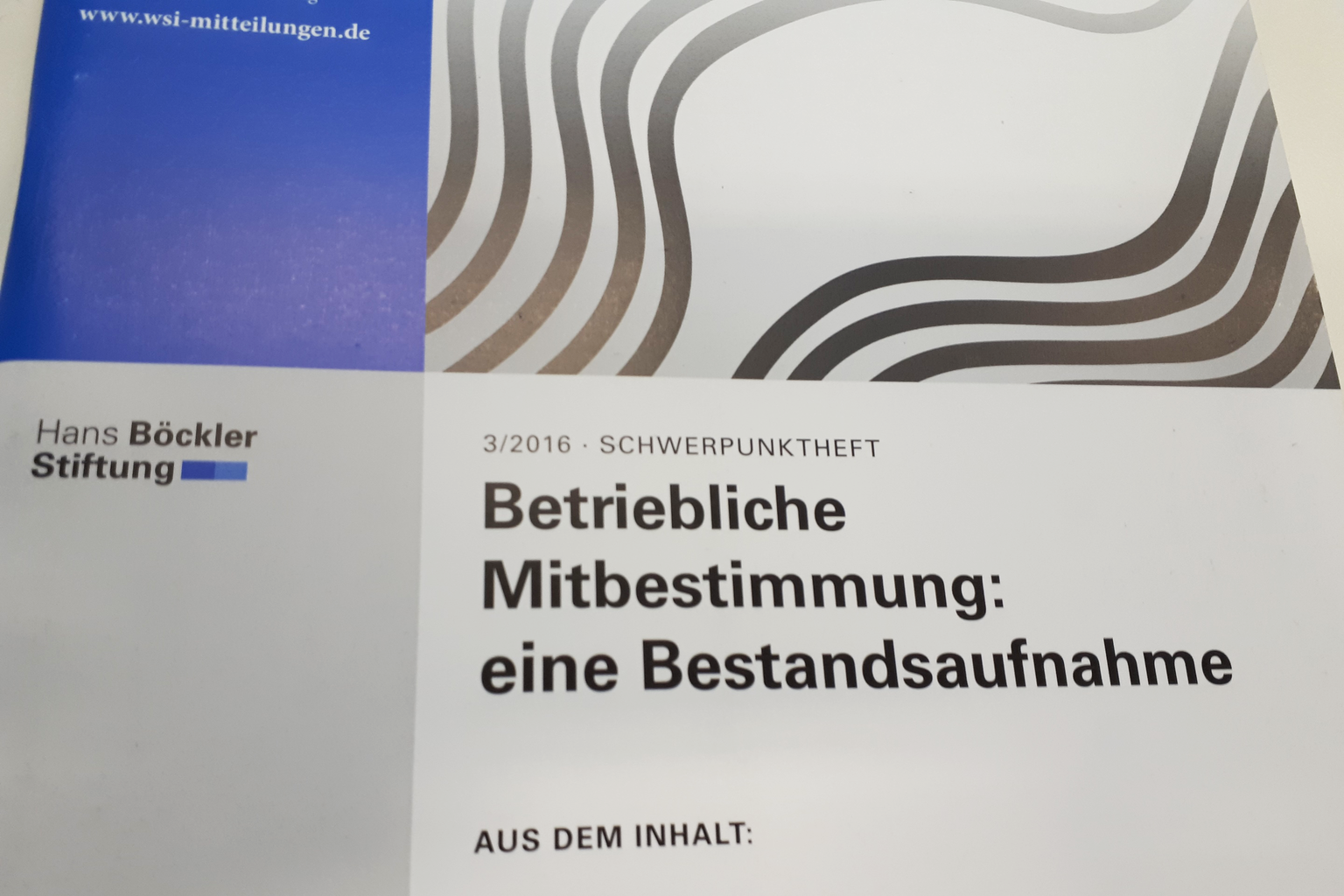 Betriebliche Mitbestimmung - Wirtschafts- Und Sozialwissenschaftliches ...